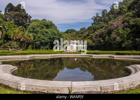 Botanischer Garten, São Paulo, Brasilien bota Stockfoto