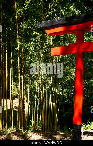 Rote Torii und Bambus Wald, La Bambouseraie - Bambus Park, Prafrance, Anduze, Gard, Frankreich Stockfoto