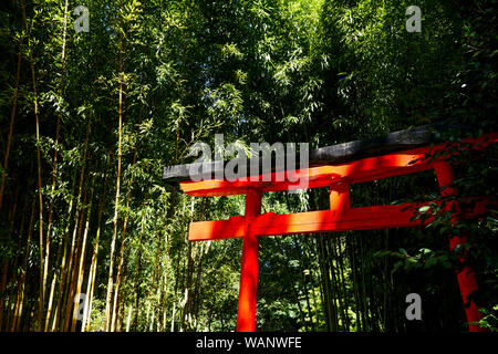 Rote Torii und Bambus Wald, La Bambouseraie - Bambus Park, Prafrance, Anduze, Gard, Frankreich Stockfoto