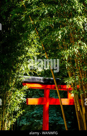 Rote Torii und Bambus Wald, La Bambouseraie - Bambus Park, Prafrance, Anduze, Gard, Frankreich Stockfoto