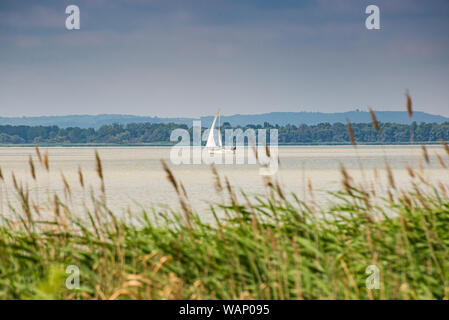 Segelboot auf den Plattensee, Ungarn, Europa Stockfoto