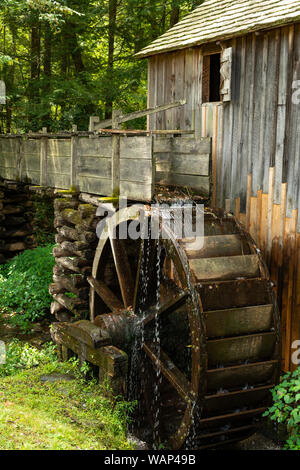 Wasserrad und alte Mühle in den Wald. Cades Cove, Smoky Mountains National Park, Tennessee Stockfoto