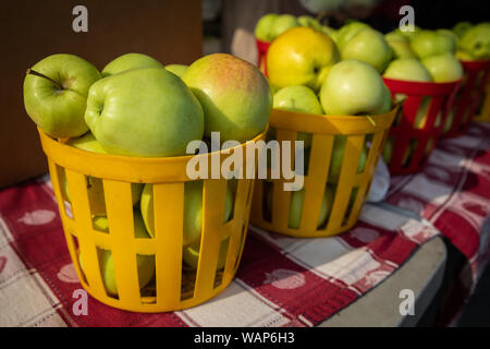 Körbe Äpfel zum Verkauf an ein Bauernmarkt. Stockfoto