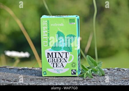 Verpackung von Clipper 'Mint Grüner Tee' auf einem Beton zaun Wand fotografiert, mit echter Minze daneben, in einem Bergdorf in Montenegro Stockfoto