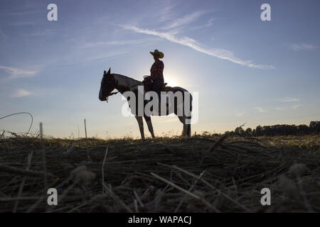 Silhouette cowgirl Reiten auf offenen Ebene im Westen bei Sonnenuntergang Stockfoto