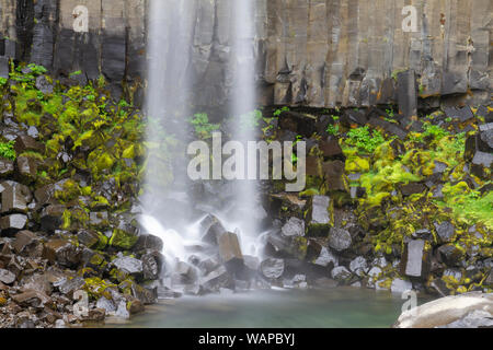 Der Svartifoss (Schwarz) Wasserfall, den Nationalpark Vatnajökull, südlichen Island. Stockfoto