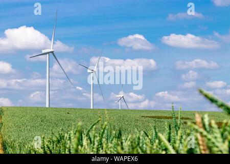Windenergieanlagen auf ein grünes Weizenfeld produzieren Strom aus erneuerbaren Energien Stockfoto