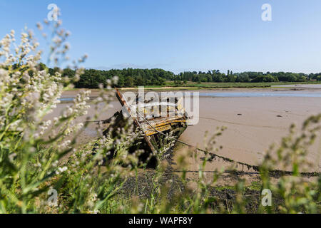 Ein altes hölzernes Schiff, dass wreaked wurde und im Fluss günstig einen Lebensraum für einheimische Tiere zu erstellen Stockfoto