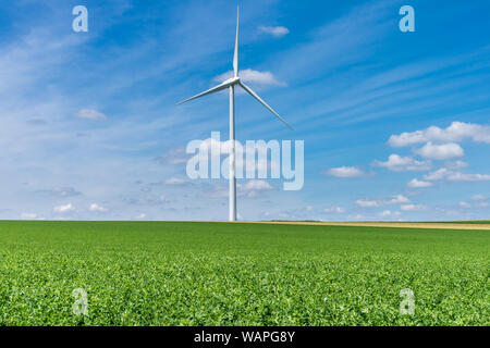 Windenergieanlagen auf ein grünes Weizenfeld produzieren Strom aus erneuerbaren Energien Stockfoto
