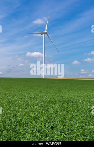 Windenergieanlagen auf ein grünes Weizenfeld produzieren Strom aus erneuerbaren Energien Stockfoto