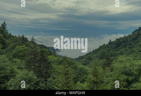 Great Smoky Mountains National Park, North Carolina, USA - Juni 19, 2018: Sonnenaufgang Landschaft Great Smoky Mountains National Park Gatlinburg TN und Ocon Stockfoto