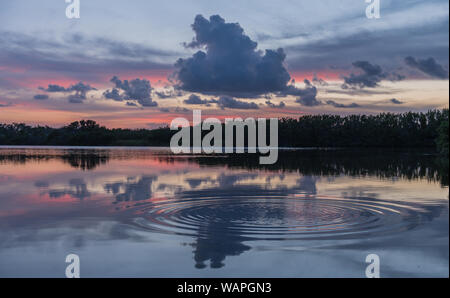 Paurotis Teich in den Everglades National Park, Florida, USA - 16. Juli 2018: Sonnenuntergang und Reflexionen an Paurotis Teich im Everglades National Park in der Nähe von Stockfoto