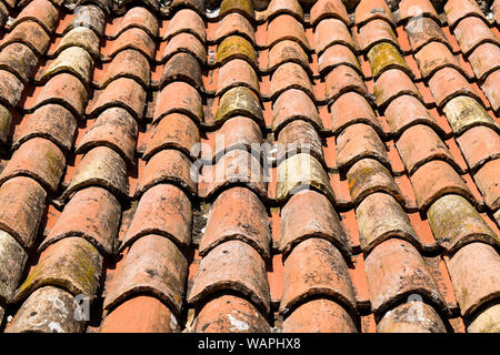 Nahaufnahme von alten orange Dach mit Tonziegeln. Dach der alten Haus in Kroatien Stockfoto