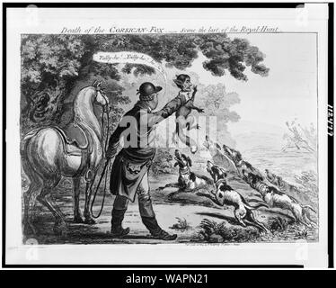 Tod der korsischen Fuchs - Szene des letzten Royal-Hunt Abstract: König Georg III. als Jäger, hält bis zu einem Satz von Jagdhunde ein Fuchs mit dem Leiter der Napoleon. Halsbänder Hunde' beschriftet mit den Namen von naval Führer Nelson, Sydney S. Gardner, Cornwallis. Männer auf dem Pferd geführt von William Pitt, Galopp in Richtung König. Stockfoto