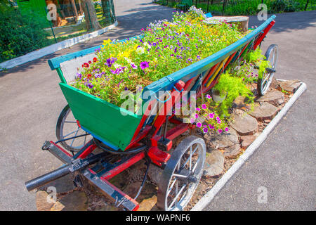 Schlitten mit mit Blumen auf der Straße Stockfoto