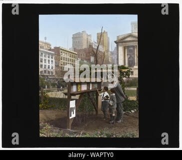 Demonstration Garten, Bryant Park, 42th Street und Fifth Avenue, New York, New York. Besucher Studium Gartenbau Mitteilungen Stockfoto