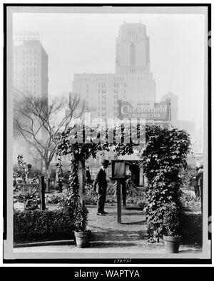 Demonstration Garten, Bryant Park, 42th Street und Fifth Avenue, New York, New York. Besucher Studium Gartenbau Mitteilungen Stockfoto