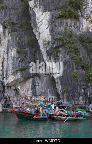 Bunte Fischerboote in Ha Long Bay 2. Stockfoto