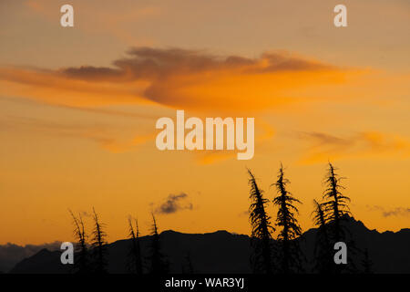 Sonnenuntergang auf Wolken, Hufeisen Becken, Pasayten Wüste, Washington State, USA Stockfoto