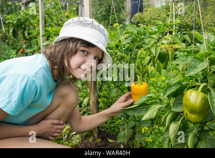 Mädchen in einen Hut in der Nähe des Garten mit gelbe Paprika Stockfoto