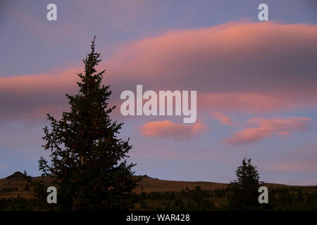 Sonnenuntergang auf Wolken, Hufeisen Becken, Pasayten Wüste, Washington State, USA Stockfoto