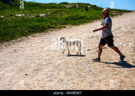 Szene an die Spitze des Monte Baldo oberhalb Malcesine am Gardasee Italien. Stockfoto