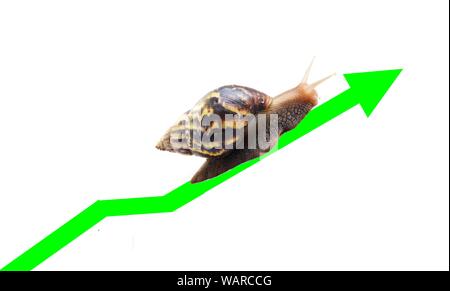 Schnecke reisen entlang der Grünen Linie der Währung Chart auf weißem Hintergrund, Sieg und Erfolg von Geduld, langsames Wirtschaftswachstum Stockfoto