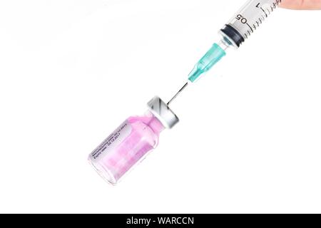 Spritze in ein Fläschchen einführen, um die violette Flüssigkeit in den Zylinder zu ziehen, Tollwut-Impfung für Haustiere Stockfoto