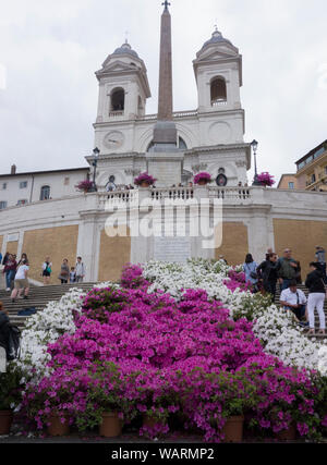 Frühling Blumen auf der Spanischen Treppe in Rom, 2019. Stockfoto