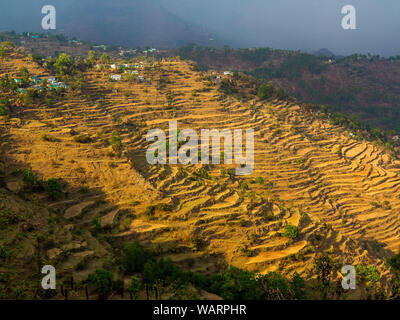 Umfangreiche terrassierten Feldern an entfernten Dorf Sanouli wo Jim Corbett, schoß die fleischfressenden Panar Leopard kommen, Kumaon Hügel, Uttarakhand, Indien Stockfoto