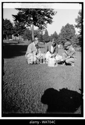 Dr. W. Thurnheer der Schweizer Gesandtschaft & Sec. Wallace in Beltsville, [MD], Bauernhof mit Hühnern, 8/18/24. Stockfoto