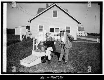 Dr. W. Thurnheer der Schweizer Gesandtschaft zeigt Sec. Wallace, wie eine Ziege Milch in Beltsville, [MD], Bauernhof, 8/18/24. Stockfoto