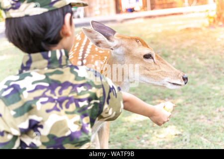 Kleiner Junge Rehe füttern aus der Hand. Stockfoto