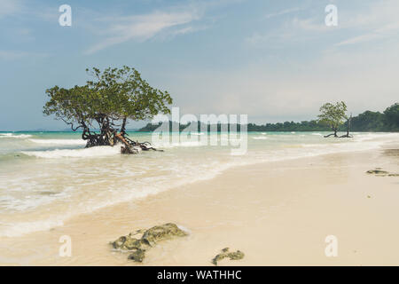 Wunderschöne exotische Bäume gegen das Meer Landschaft mit blauen Wolken und türkisblauem Wasser. Unbewohnte Insel im Indischen Ozean. Sauber White Sand auf einem d Stockfoto