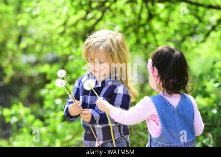 Mädchen geben Löwenzahn Blume für junge Stockfoto