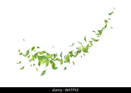 Die grünen Blätter Wirbeln im Wind Stock Vektor