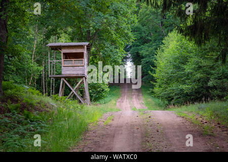 Jäger Hütte im Wald an der Straße. Hunter Turm oder sehen Sie in der Wildnis. Hunter Post ist eine Holzkonstruktion zu beobachten und am Wilden anim Schießen Stockfoto