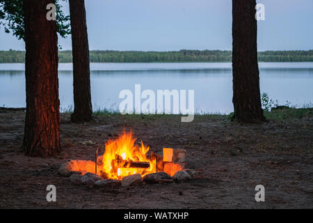 Ansicht des brennenden Lagerfeuer am See in der Dämmerung durch Baum Silhouetten umgeben. Brennendes Feuer durch das Wasser von Bäumen im Wald umgeben. S Stockfoto