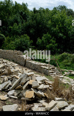 Trockenmauer Bau, Leckhampton Hill, in der Nähe von Cheltenham Spa, Gloucestershire, England, Großbritannien Stockfoto