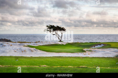 Golfplatz auf der berühmten 17 km Fahrt in der Nähe von Pebble Beach, Kalifornien. Stockfoto