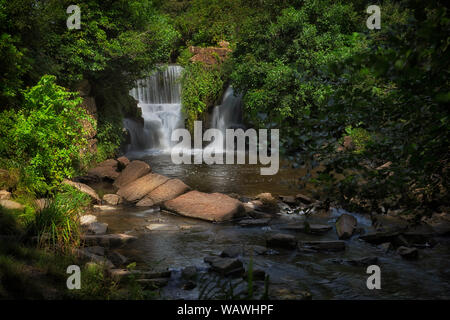 Penllergare Woods Wasserfall Stockfoto