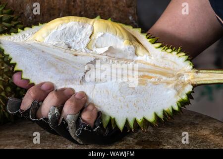 Schneiden Thailändische frische Durian und bereit zu essen. Stockfoto