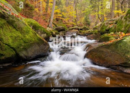 Mountain Stream Ilse fließt über die Felsen durch die herbstlichen Wald, Sachsen-Anhalt, Deutschland Stockfoto