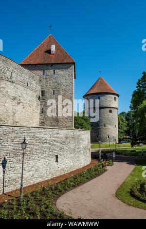 Turm Kiek in de Kok auf dem Münsterhügel und Stadtmauer, obere Stadt, Altstadt Tallinn, Estland Stockfoto