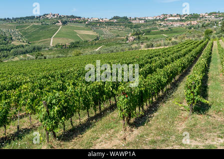 Die wunderschöne Landschaft der Toskana im Chianti Gebiet in der Nähe des Dorfes Panzano, Florenz, Italien Stockfoto