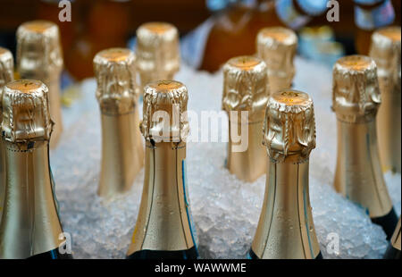Montreal, Quebec, Kanada, August 21,2019. Flaschen Champagner im Eisbad gekühlt wird. Montreal, Quebec, Kanada. Credit: Mario Beauregard/Alamy Nachrichten Stockfoto