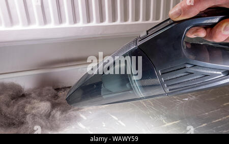 Schließen POV-shot eines Menschen Hand mit einem tragbaren, batteriebetriebenen Staubsauger, bis Hund Haare aus dem Boden zu saugen. Stockfoto