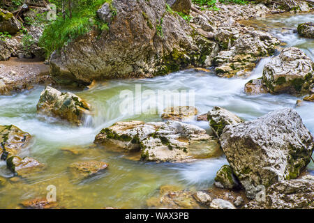 Sommer in den Bergen fließt, Bicaz Fluss in den rumänischen Karpaten. Stockfoto