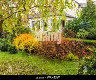 Schönen Herbst Garten mit fallenden Blätter auf einem Hintergrund des Hauses Stockfoto