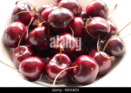 A Bowl of Red Cherries Stockfoto